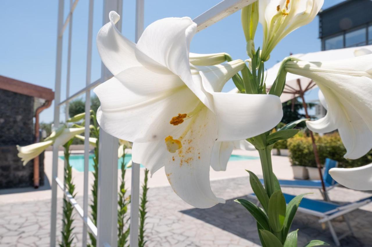 Lux Suite Sicily Mascalucia Exterior photo